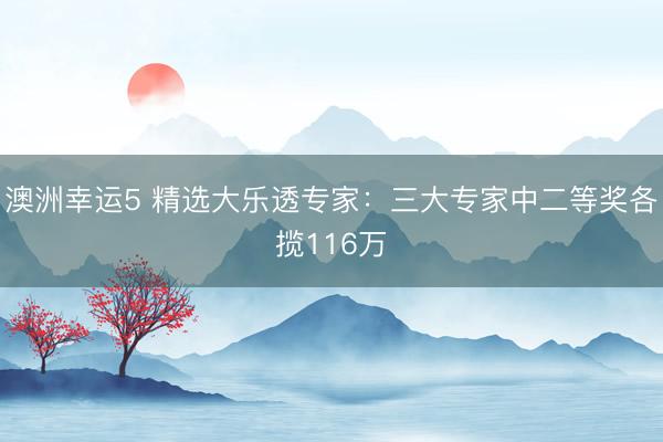 澳洲幸運(yùn)5 精選大樂透專家：三大專家中二等獎(jiǎng)各攬116萬