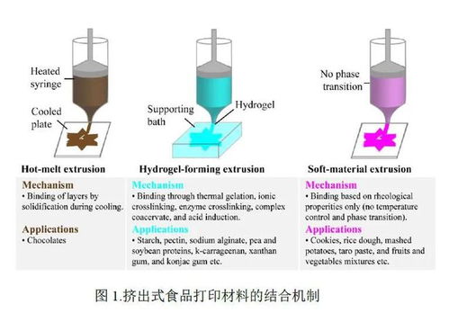 李斌教授團隊 開拓植物性材料在3D食品打印技術(shù)中的創(chuàng)新應(yīng)用